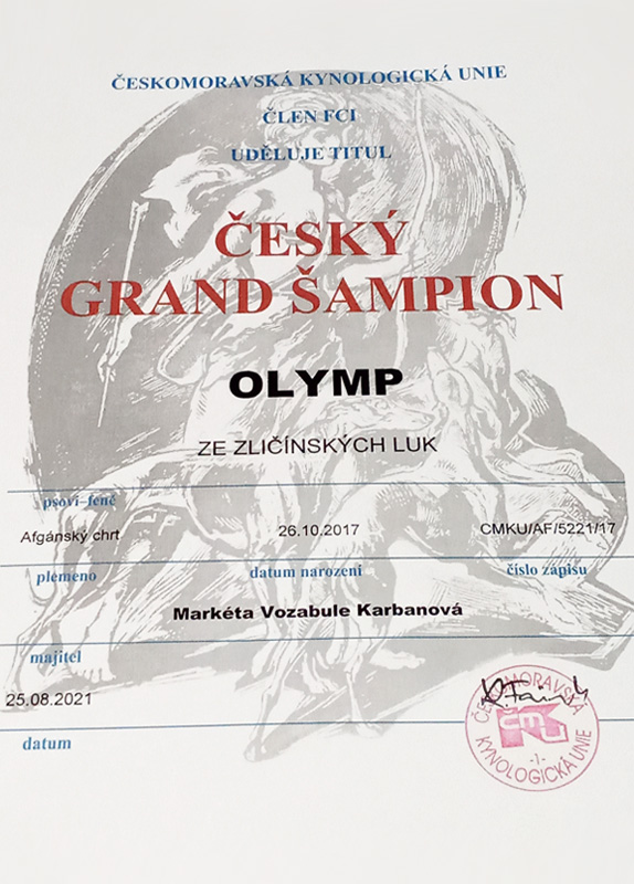 Ch. Olymp ze Zličínských luk - ČESKÝ GRANDŠAMPION